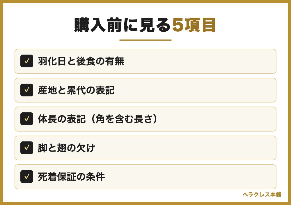 購入前に見る5項目(羽化日と後食の有無、産地と累代の表記、体長の表記、脚と翅の欠け、死着保証の条件)