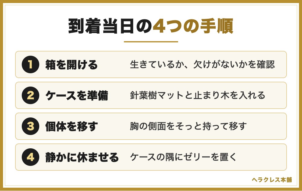到着当日の4つの手順(箱を開けて確認する、ケースを準備する、個体を移す、静かに休ませる)
