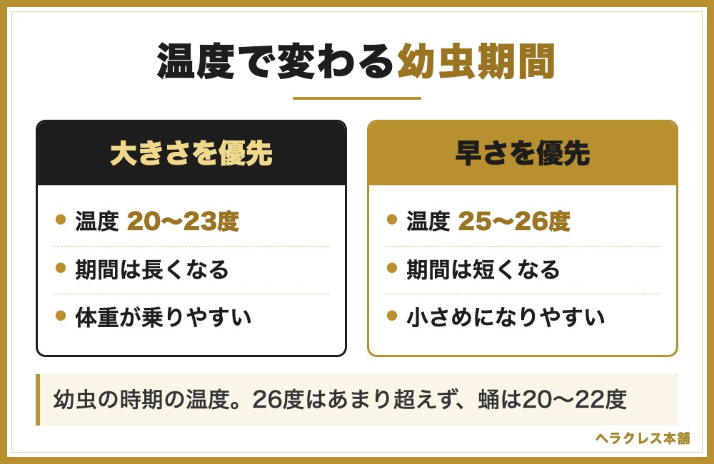 幼虫の時期の飼育温度による期間の違いの比較(大きさを優先するなら20〜23度で期間は長くなり体重が乗りやすい、早さを優先するなら25〜26度で期間は短くなり成虫は小さめになりやすい。26度はあまり超えず、蛹は20〜22度で管理する)