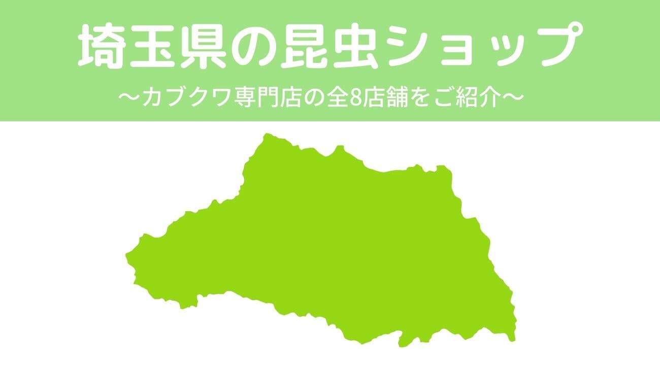 埼玉県内の昆虫ショップ8店舗を紹介/カブトムシ・クワガタを扱っているお店