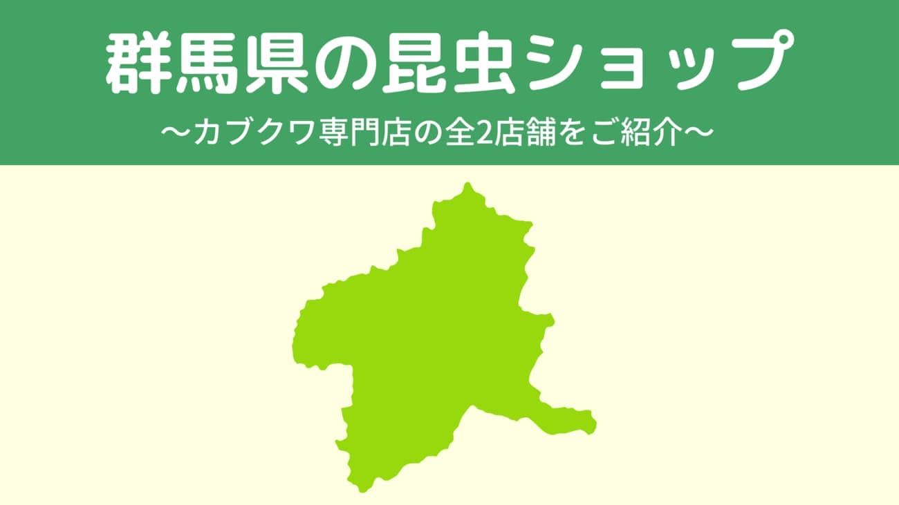 群馬県内の昆虫ショップ2店舗を紹介/カブトムシ・クワガタを扱っているお店