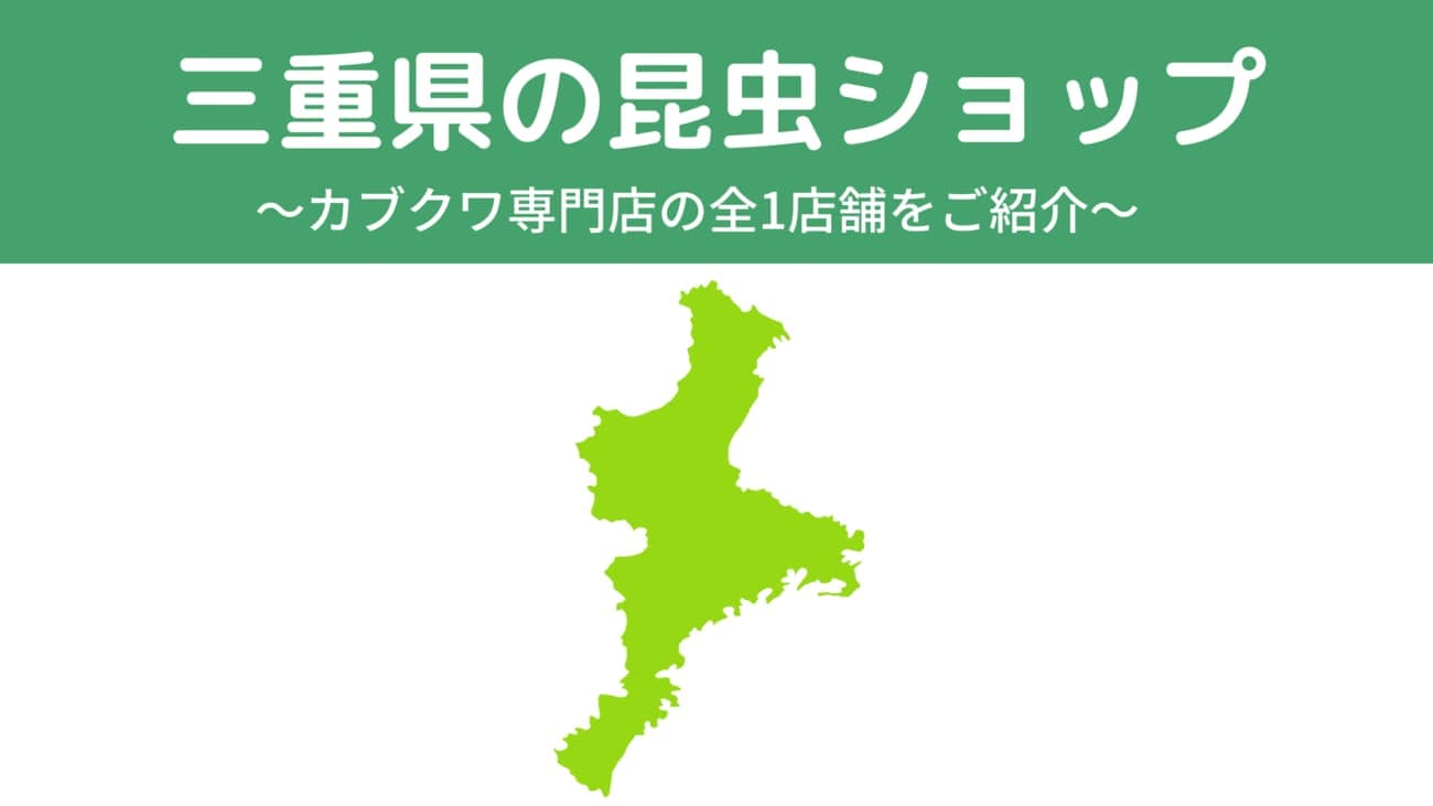 三重県内の昆虫ショップ1店舗を紹介/カブトムシ・クワガタを扱っているお店