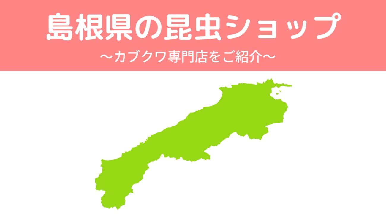 島根県内の昆虫ショップを紹介/カブトムシ・クワガタを扱っているお店