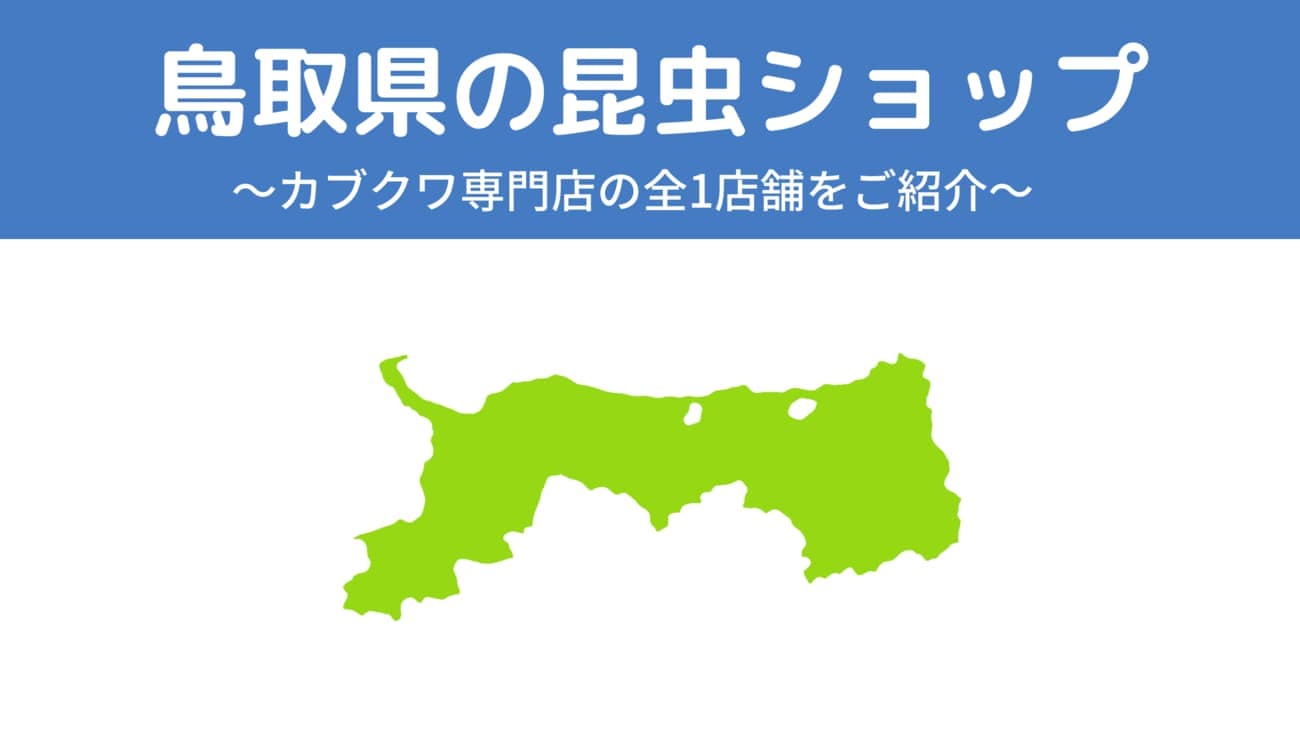 鳥取県内の昆虫ショップ1店舗を紹介/カブトムシ・クワガタを扱っているお店