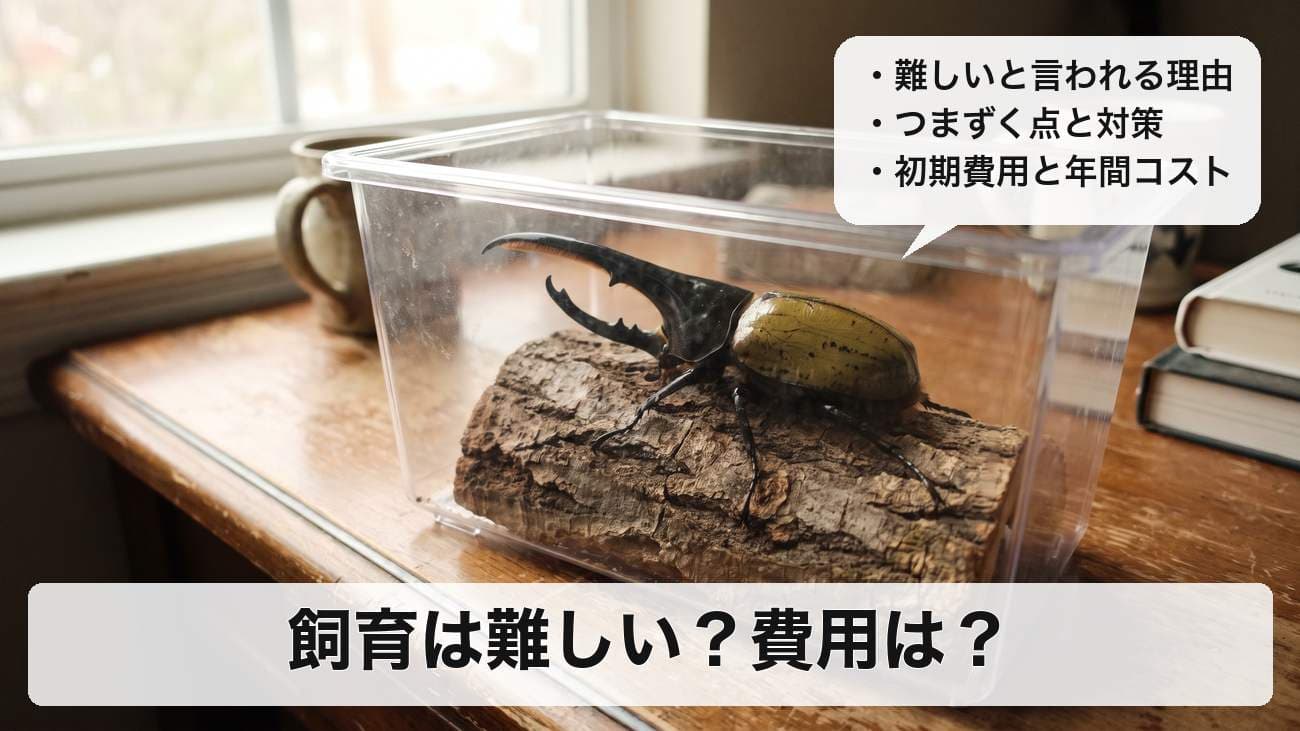 ヘラクレスオオカブトの飼育は難しい？初心者がつまずく点と初期費用・年間コストの目安を解説