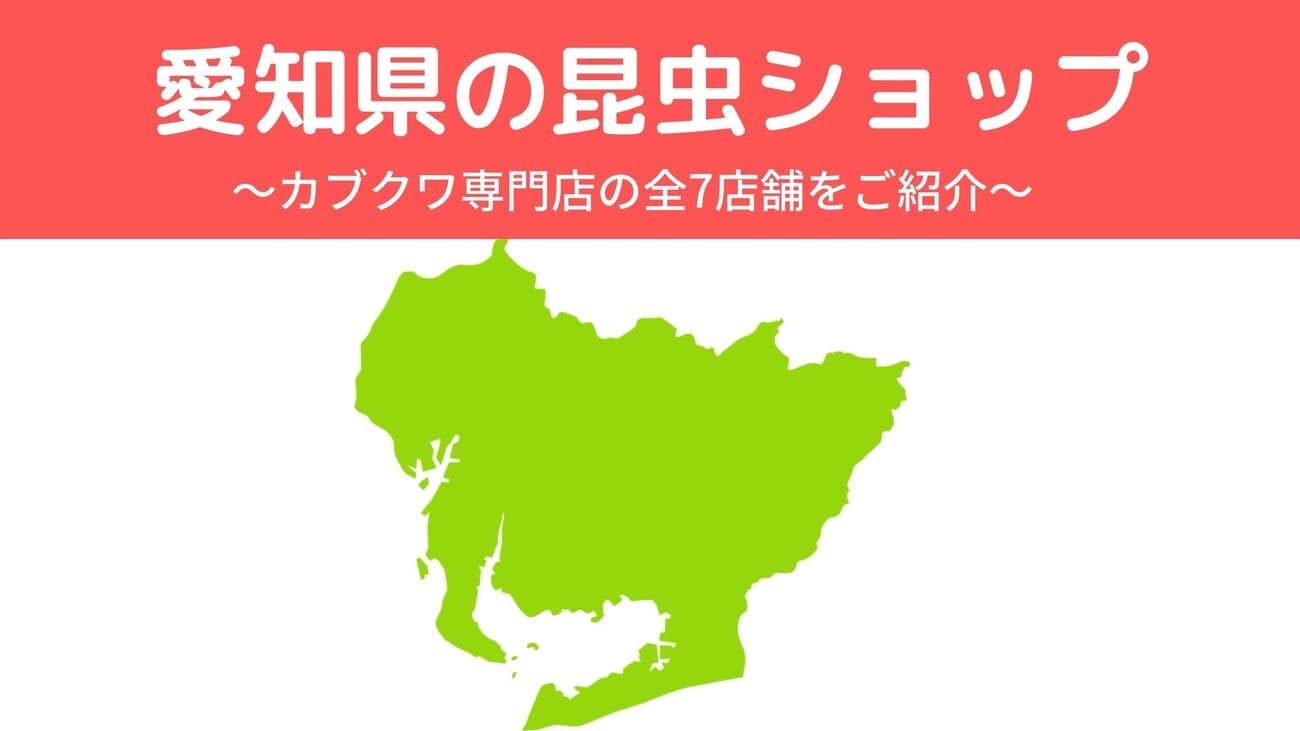 愛知県内の昆虫ショップ7店舗を紹介/カブトムシ・クワガタを扱っているお店
