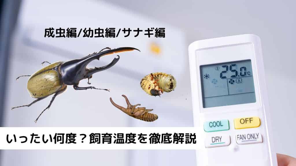 ヘラクレスオオカブトの飼育温度って何度がおすすめ？温度管理の方法もご紹介！